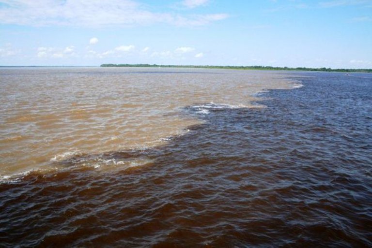 النهر الأسود ومقابله مع نهر الأمازون 