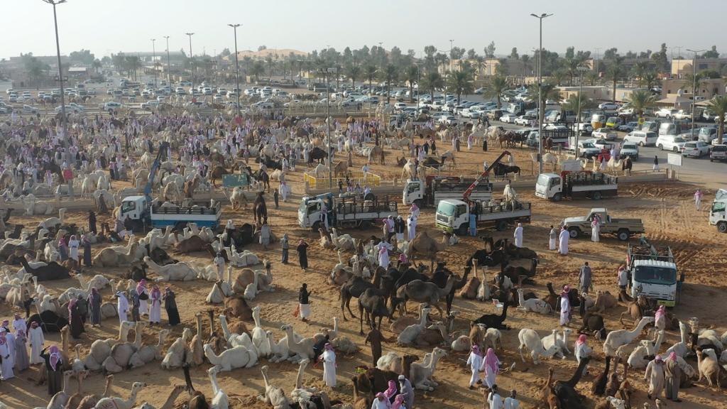 من معالم مدينة بريدة  - مدينة الأنعام  