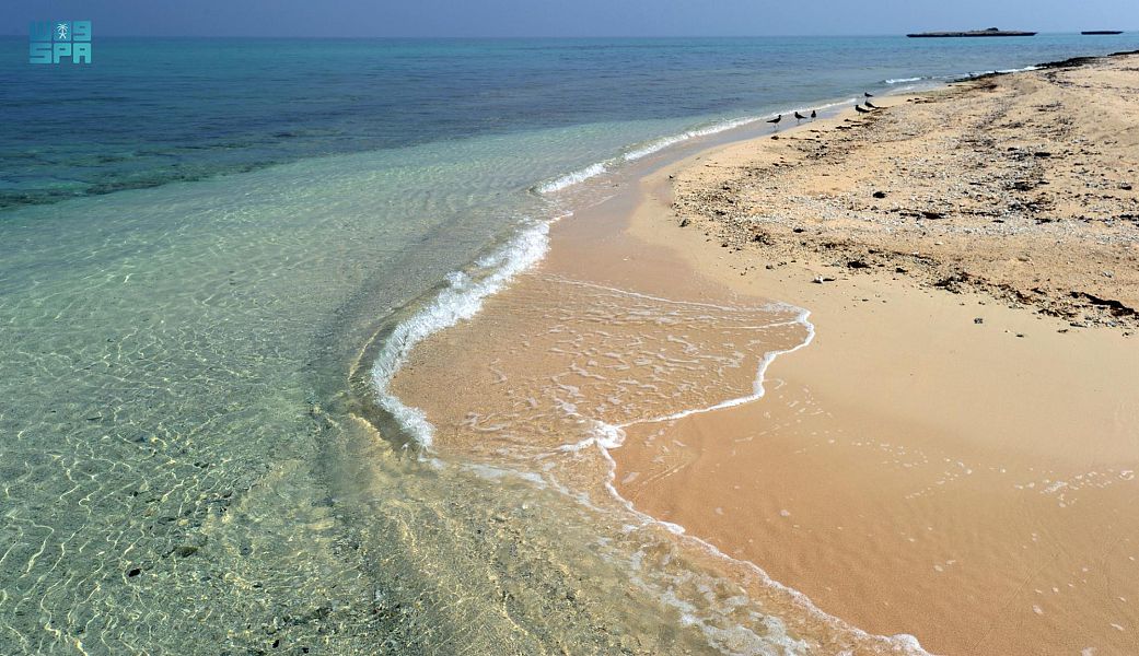 محايل والبرك وبارق والمجاردة... تحوي سواحل وسهول جميلة خلابة في فصل الشتاء