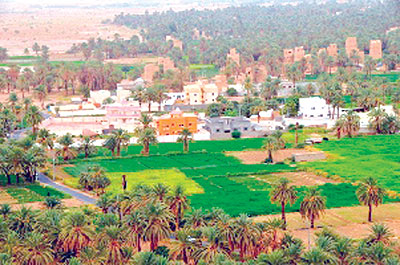 مدينة نجران السعودية