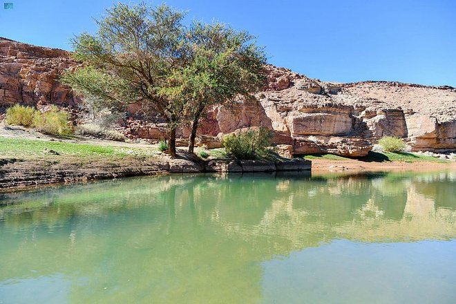 سد الراشدة في بادية تبوك .. أكبر السدود الطبيعية في المنطقة