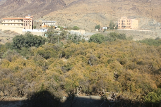 Wadi Bidah in Al Baha