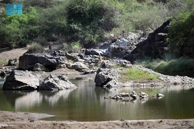 وادي بيض شرق محافظة الدرب