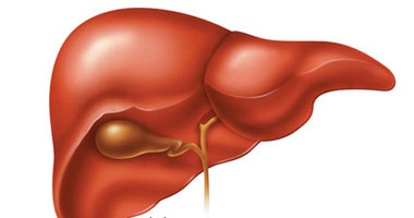 جهاز أمريكي جديد لعلاج الفشل الكبدي