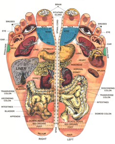 علم المنعكسات وأمراض المناعة Reflexology