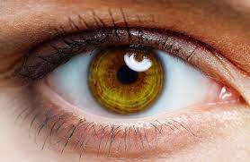 جهاز جديد للتشخيص المبكر لاضطرابات العين التنكسية