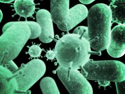 الفرق بين العدوى الفيروسية والعدوى البكتيرية