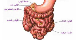 أسباب متلازمة سوء الإمتصاص و علاجها