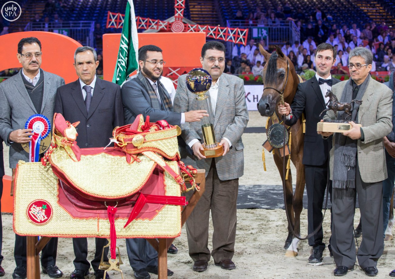 المهرة ( رواية عذبة ) تتوج ببطولة العالم لجمال الخيل العربية الأصيلة