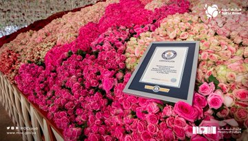 «سلَّة طائف الورد» تكسر رقم غينيس القياسي بـ 84 ألف وردة