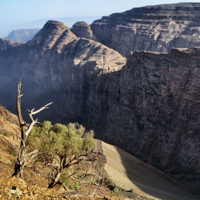 جمال الطبيعة في جبال القهر بالريث