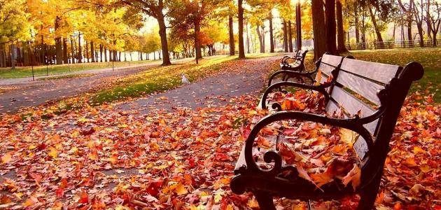 تأثير فصل الخريف على الصحة النفسية