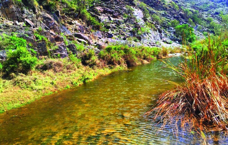 وادي تربة من أبرز المعالم الطبيعية والتاريخية بمكة المكرمة