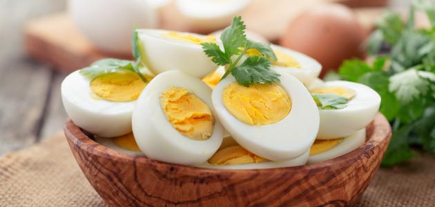 ما الحد الأقصى لتناول البيض لمرضى القلب والسمنة؟