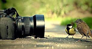 اليوم العالمي للتصوير.. يستذكر أول عملية تصوير من خلال اختراع "داجيروتايب" عام 1837م في فرنسا