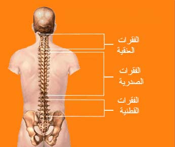 اسباب و اعراض التهاب الفقرات القطنية