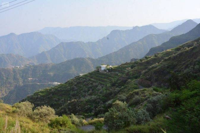 The geography of the Asir region and its diverse vegetation