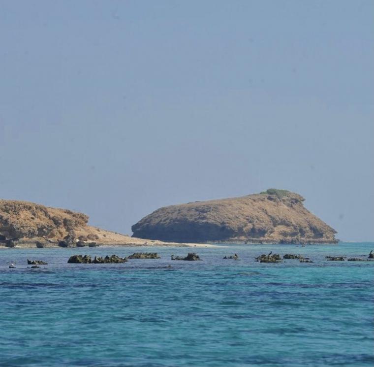 "جزيرة جبل الليث البحرية" إحدى الوجهات السياحية الواعدة