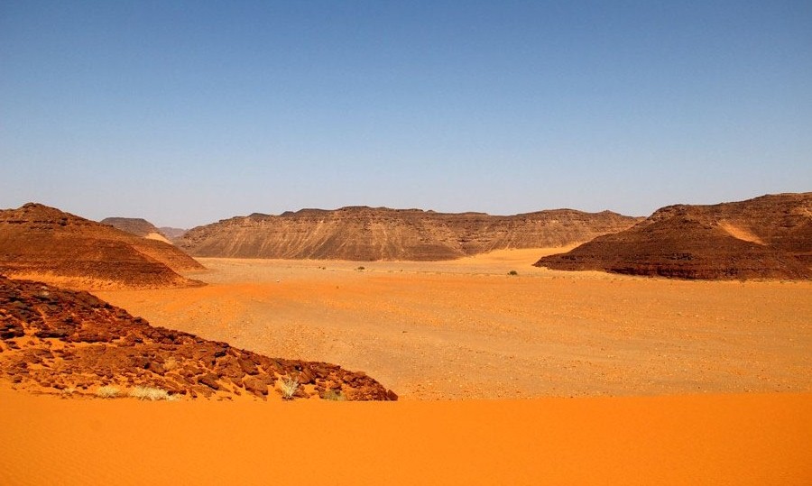 محمية الطبيق : الغطاء النباتي والحيواني 