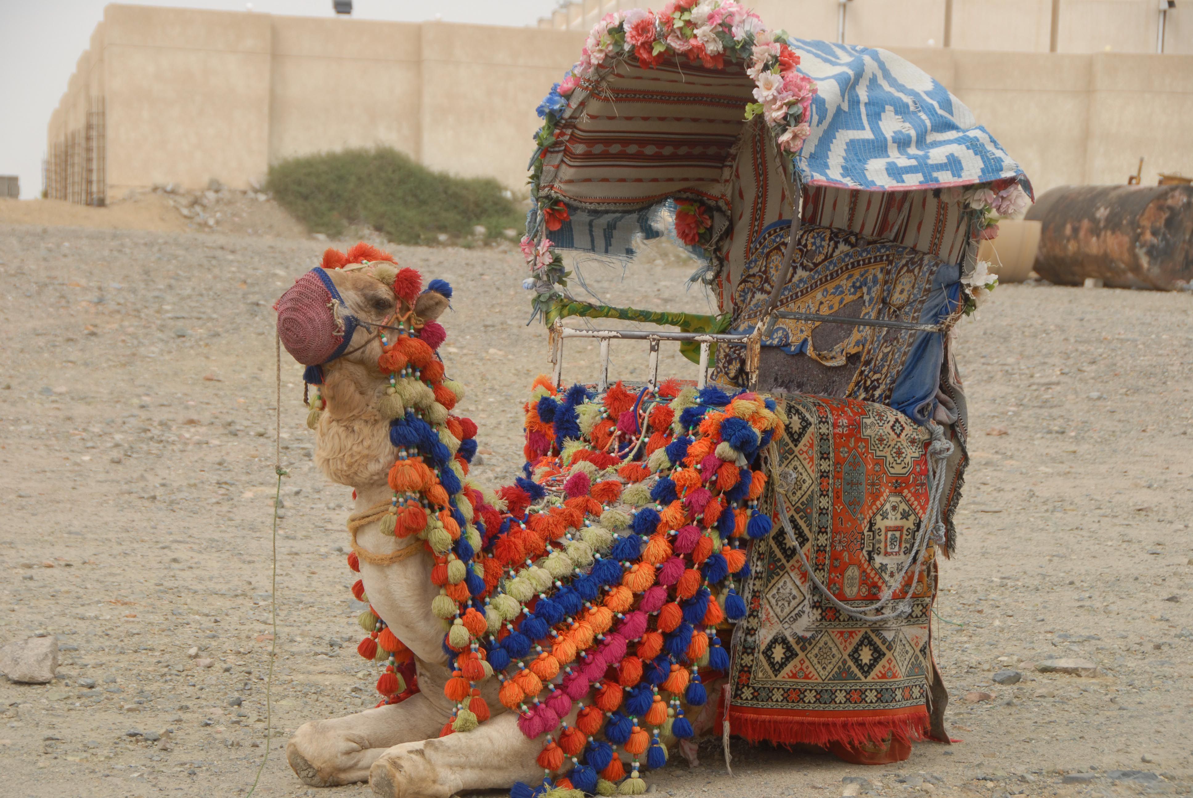 اهم الاماكن السياحية في الطائف