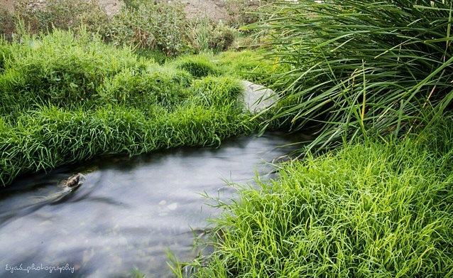  جمال الطبيعة من منتزه سيسد في الطائف