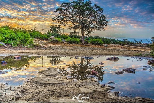 جولة في منتزه السودة السياحي