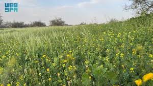 منتزه أم العصافير البري برفحاء.. مقصدا طبيعيا ملحوظا بالمنطقة