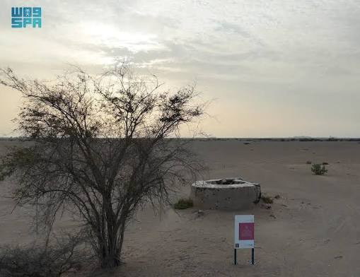بئر "المرصوص" تمثل معلمًا تراثيًا ورافدًا ثقافيًا وسياحيًا بمحافظة رابغ