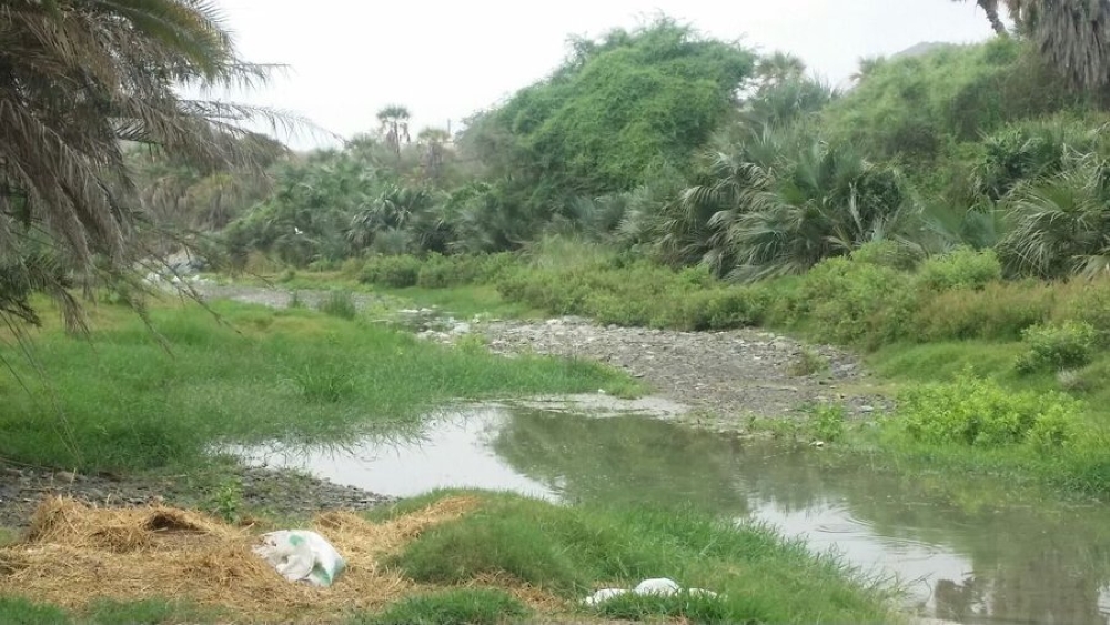 وادي ضهاية بالعيدابي.. وجهة ريفية تختزل تنوع الطبيعة في جبال منطقة جازان
