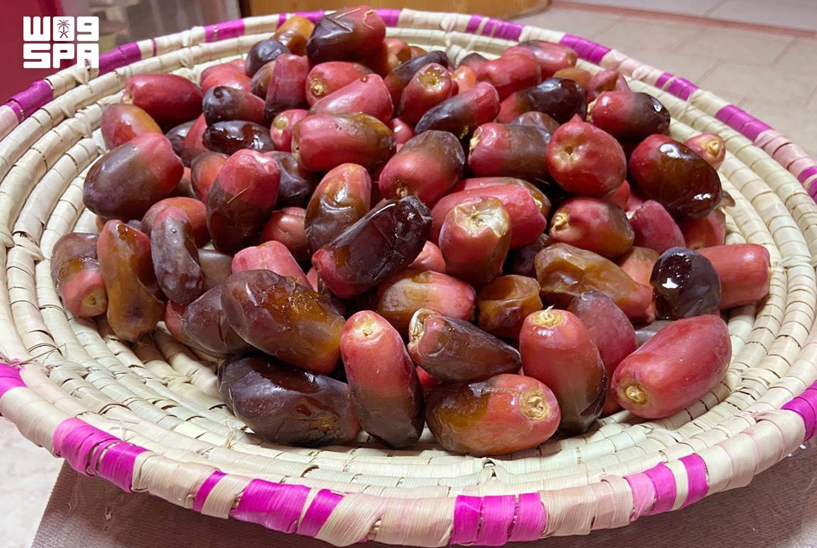 "حلوة العرينية".. صنف تمور يحمل ملامح التنوع الزراعي وذاكرة النخيل في منطقة القصيم