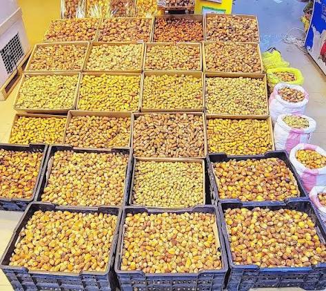 تمور الجوف.. ثروة زراعية تتحول إلى صناعات غذائية متنوعة
