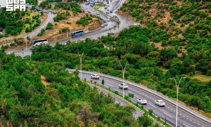 مبادرة "الباحة الخضراء" تحقق عائدًا اقتصاديًا يتجاوز 25 مليون ريال وتحصد جائزة مجلس التعاون الخليجي