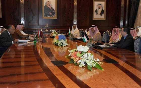 الفيصل وشكري يبحثان قضايا إقليمية ودولية في باريس