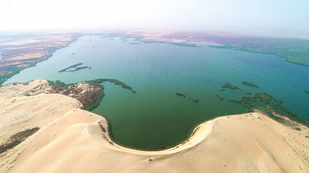 "بحيرة الأصفر" وجهة سياحية بالأحساء