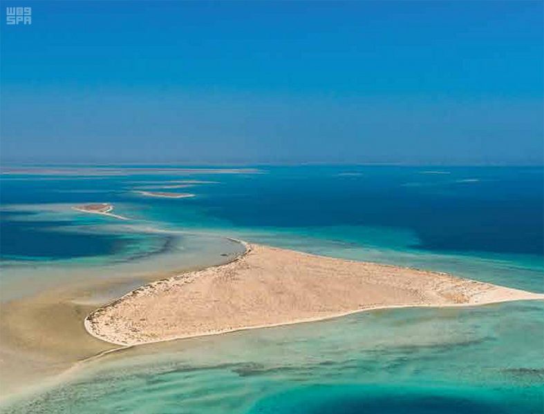 مشروع البحر الأحمر .. وثبة حضارية .. ورحلة تنزه في حدائق الشُعب المرجانية