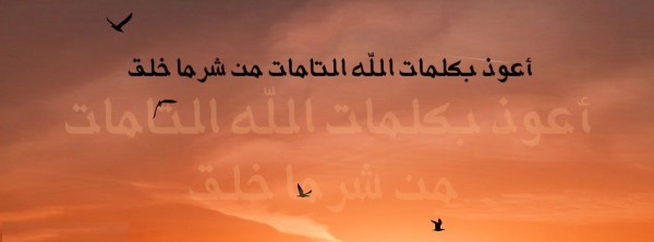 كلمات الله التامات .. الواقيات المنجيات