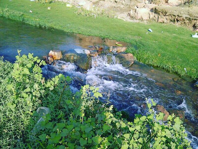 جمال الطبيعة من منتزه سيسد في الطائف