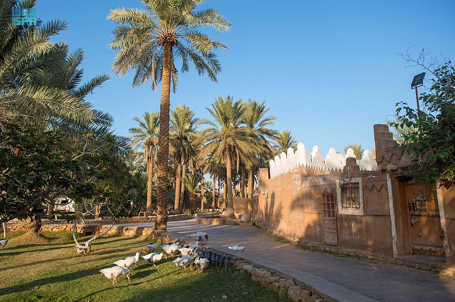 السياحية الريفية بمنطقة القصيم