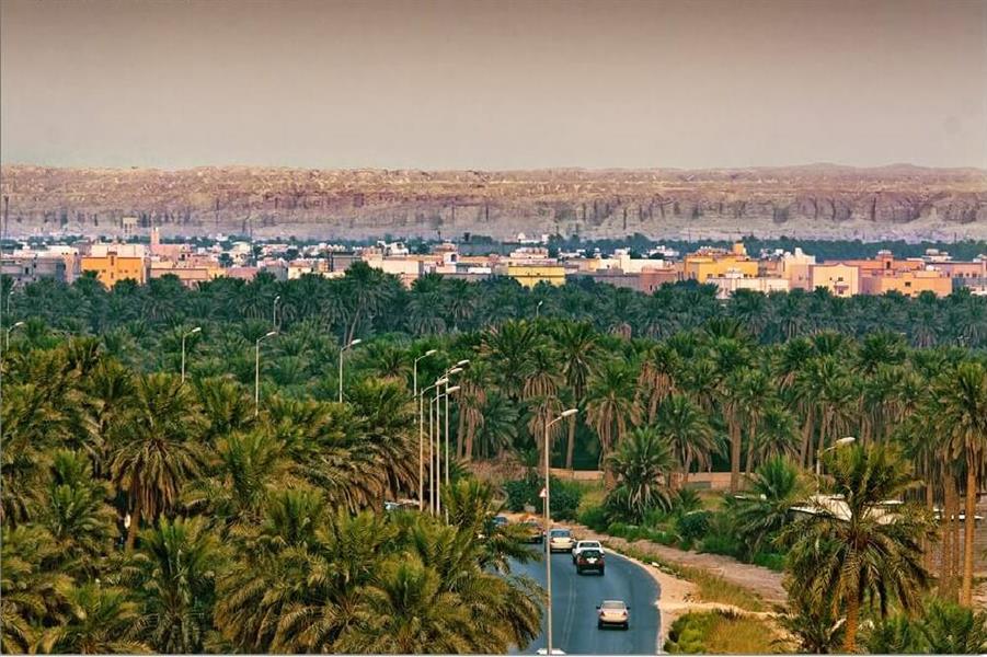 واحة الأحساء وجهة السياحة الطبيعية