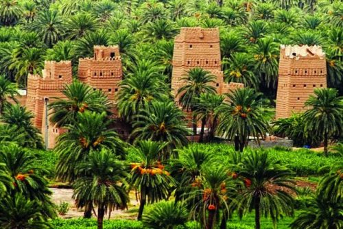 التراث العمراني ومزارع النخيل من أهم المعالم السياحية في منطقة نجران