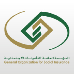 التأمينات تمنح المشترك الاختياري حق تأدية الاشتراكات وفق شروط