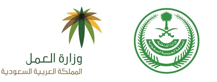 الحملة التفتيشية ل«الداخلية» و«العمل» تضبط 174 ألف مخالف في خمسة أسابيع