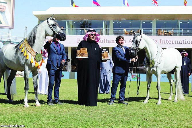 جياد أحمد بن عبدالعزيز «سعودية الأصل والمنشأ» تخطف الأنظار في يوم «الجمال»