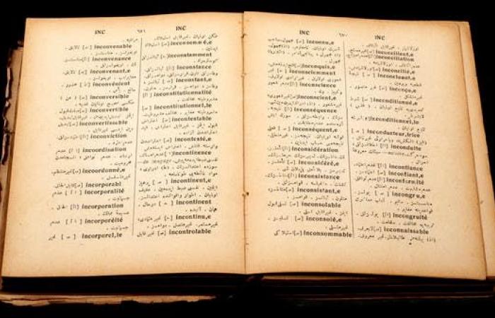 كلمات جديدة في القاموس العربي منها "ترند" و"ترويقة" و"ترويسة" و"ترهل".