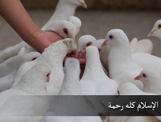 الإسلام دين الرحمة