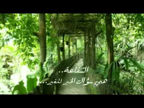 ما هي الشفاعة ؟ وما هي أقسامها؟