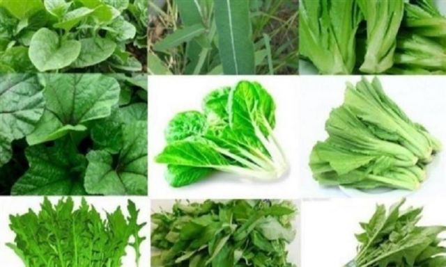 أفضل نوع من الخضروات للتمتع بصحة معرفية جيدة