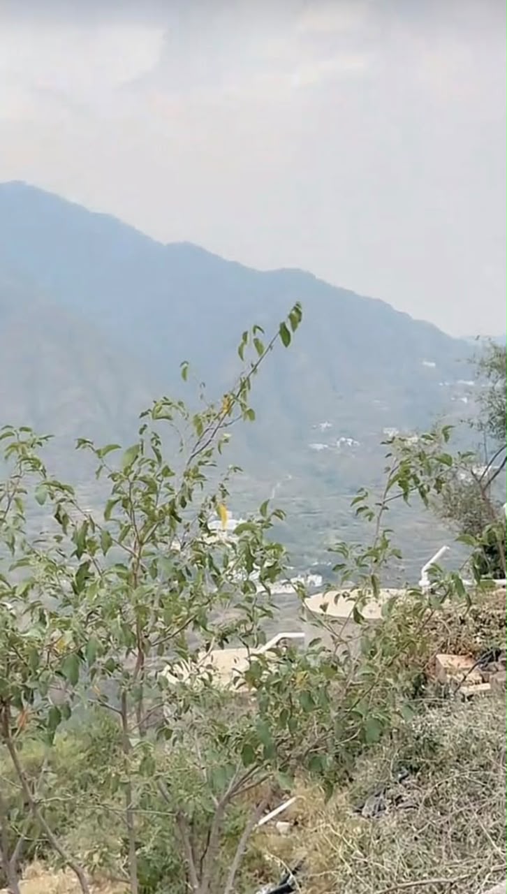 PpNGifL5kM44NajWgJ2yc35SKFhvs5LFfGG5Wu7W.jpg